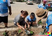 協力共創(chuàng)文明城市   小小志愿者在行動